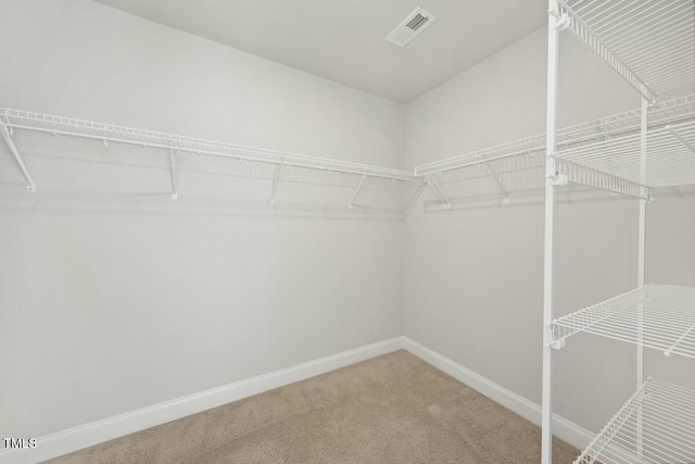 spacious closet with carpet and visible vents