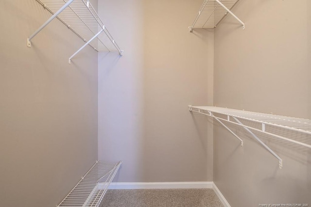 spacious closet with carpet flooring