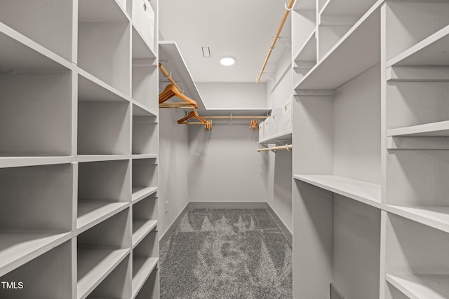 walk in closet with carpet floors