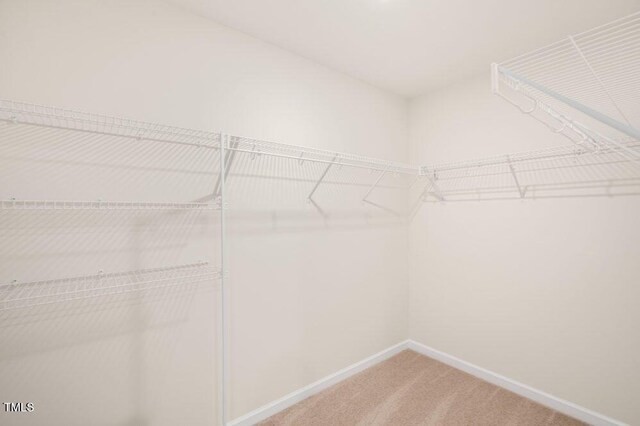 246 Holton St, Smithfield, NC 27577 - walk in closet featuring carpet floors