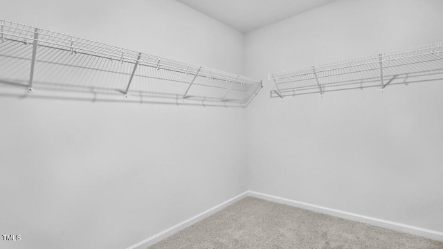 7521 Percussion Dr, Apex, NC 27539 - spacious closet with carpet floors