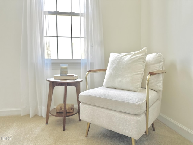 sitting room with carpet and baseboards