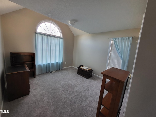 miscellaneous room featuring lofted ceiling, carpet flooring, and baseboards