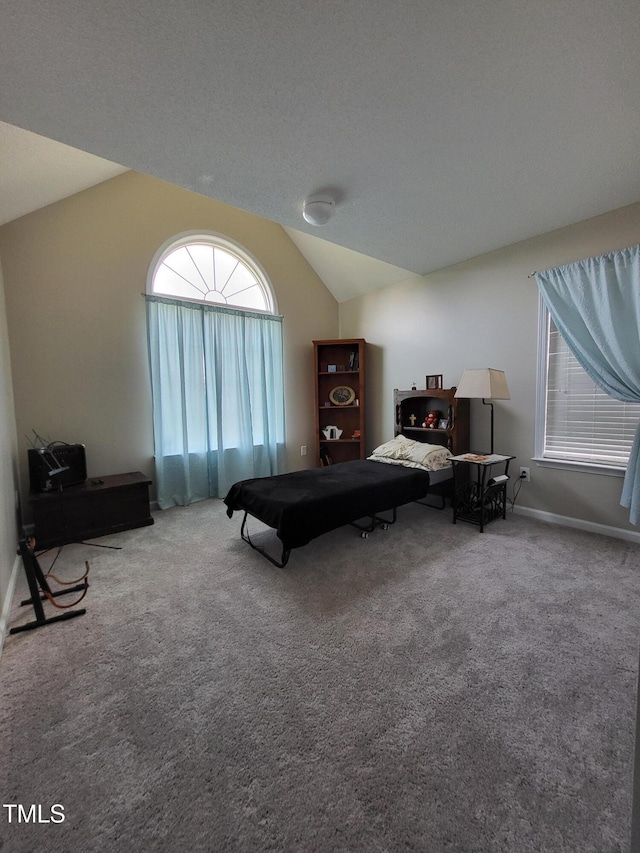 1317 Justin Oaks Ct, Willow Springs, NC 27592 - photo 19