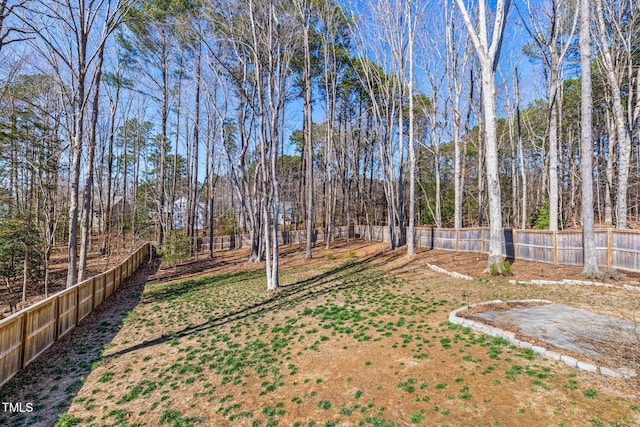 view of yard with a fenced backyard