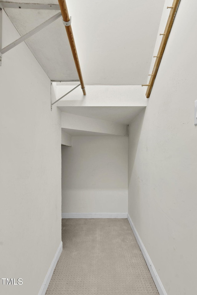 walk in closet featuring carpet