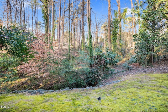 view of yard featuring a wooded view