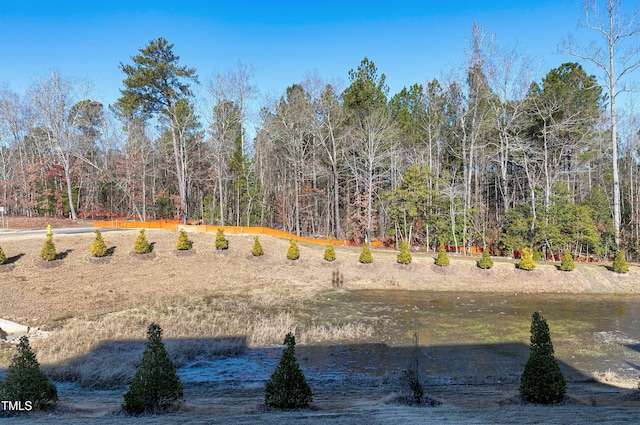 view of yard featuring a wooded view