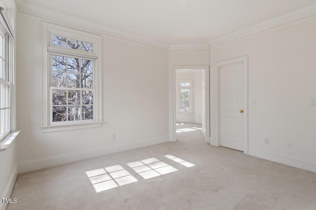 carpeted spare room with crown molding and baseboards