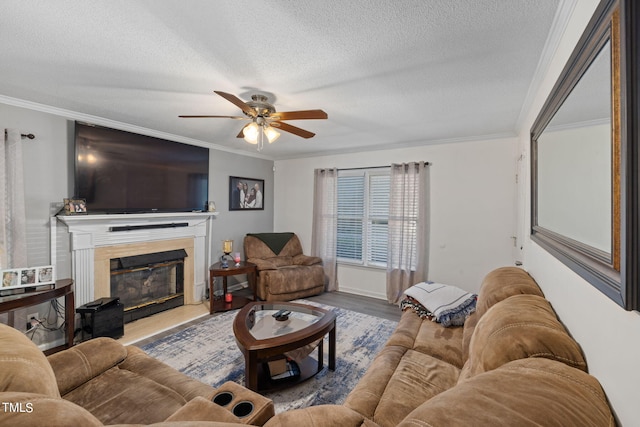 living area featuring a textured ceiling, ceiling fan, light wood-type flooring, a glass covered fireplace, and crown molding