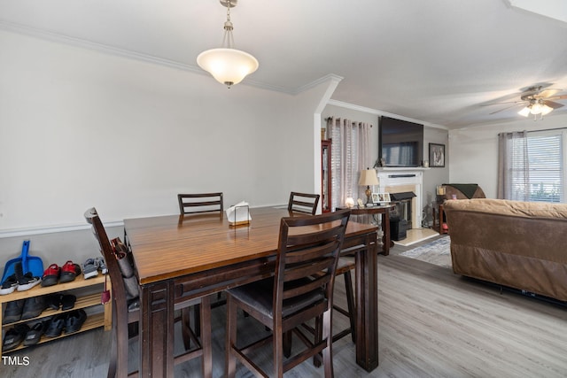 dining space with ornamental molding, a ceiling fan, a fireplace with raised hearth, and wood finished floors