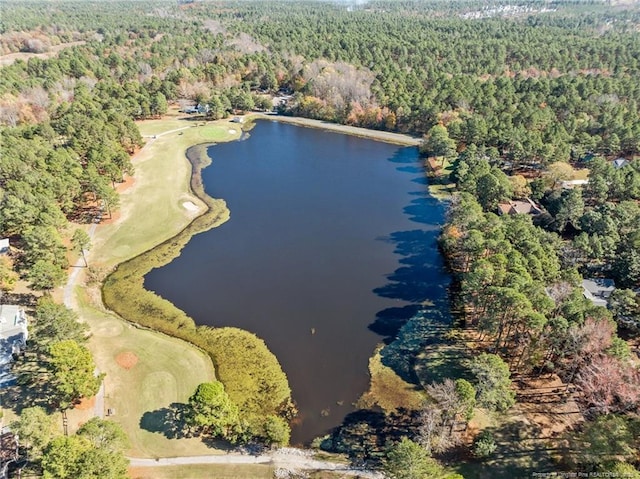 bird's eye view featuring a water view and a view of trees