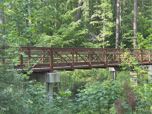 203 E Winmore Ave, Chapel Hill, NC 27516 - surrounding community with a forest view