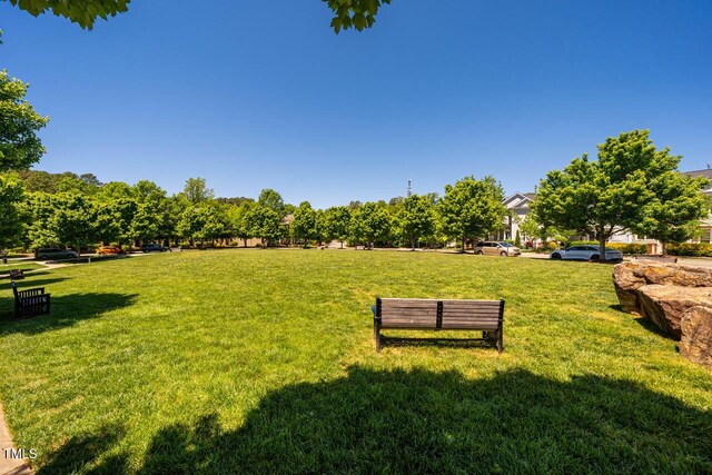 203 E Winmore Ave, Chapel Hill, NC 27516 - view of grassy yard