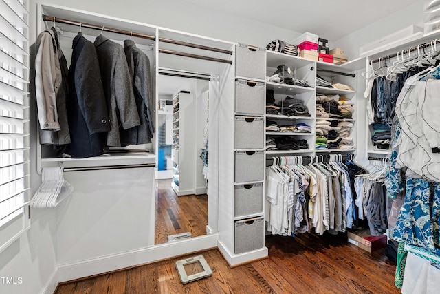 walk in closet featuring wood finished floors