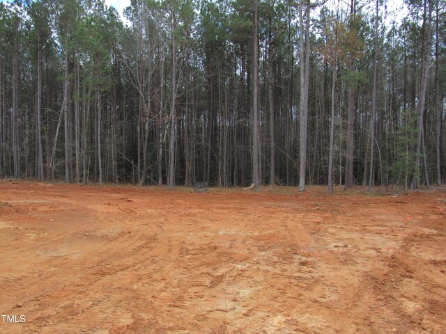 358 Coats Ridge Dr, Benson, NC 27504 - photo 19