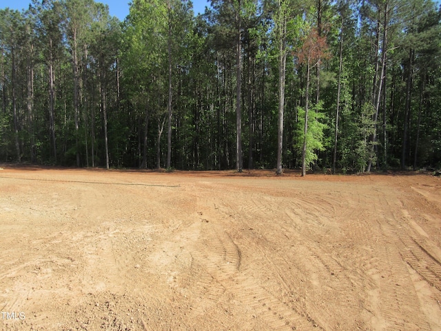 358 Coats Ridge Dr, Benson, NC 27504 - photo 21