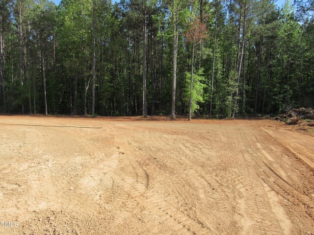 358 Coats Ridge Dr, Benson, NC 27504 - photo 22