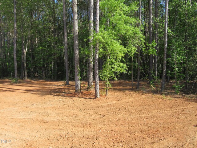 358 Coats Ridge Dr, Benson, NC 27504 - photo 23