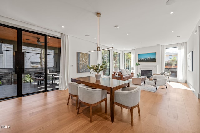 dining area featuring ceiling fan, recessed lighting, a glass covered fireplace, and light wood-style floors