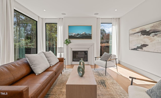 living area with a glass covered fireplace, plenty of natural light, recessed lighting, and wood finished floors