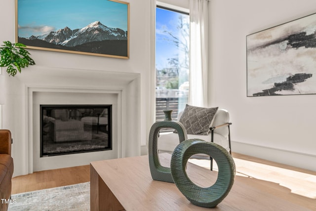 living area featuring a glass covered fireplace and wood finished floors