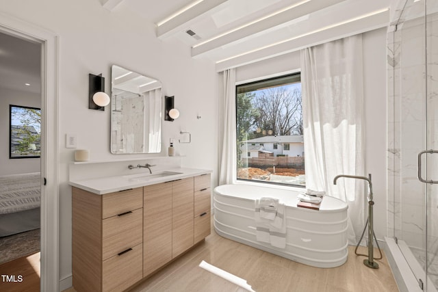 bathroom with a shower stall, wood finished floors, a wealth of natural light, and vanity