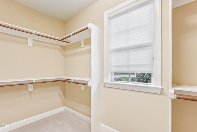 spacious closet featuring carpet flooring