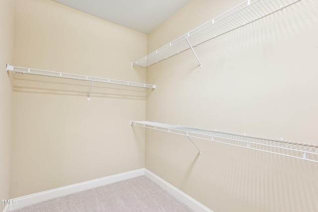 walk in closet featuring carpet floors