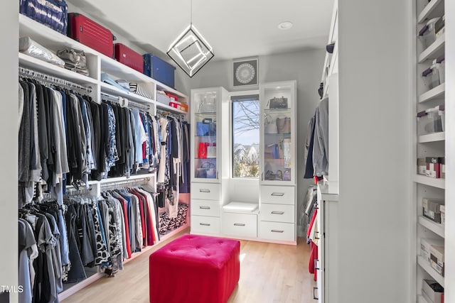 spacious closet featuring light wood-style flooring