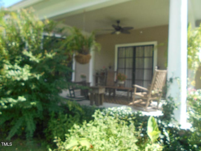 view of patio featuring ceiling fan