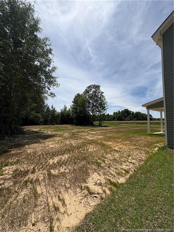 22 Peach Orchard Ln, Lillington, NC 27546 - view of yard