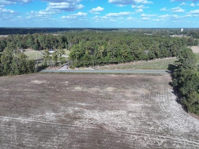 Listing photo 2 for LOT3 Iona Church Rd, Fairmont NC 28340