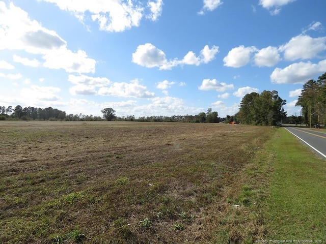 Listing photo 3 for LOT3 Iona Church Rd, Fairmont NC 28340