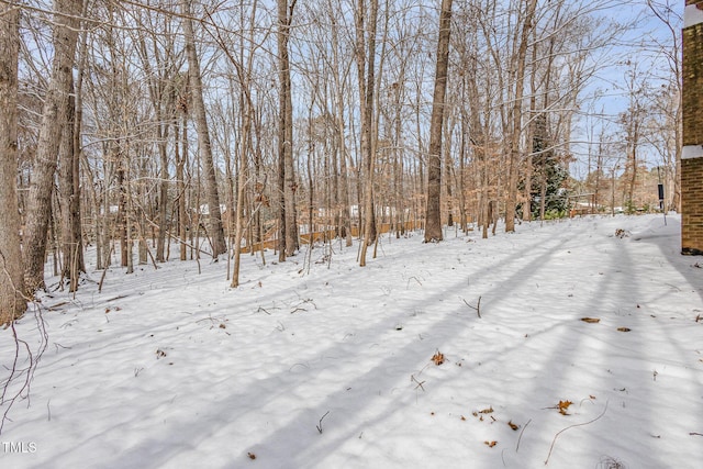 view of yard layered in snow