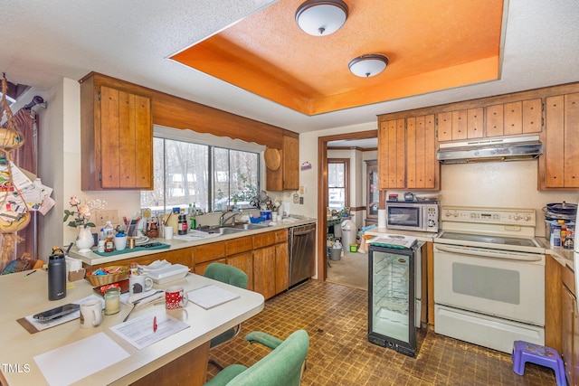 kitchen featuring under cabinet range hood, stainless steel appliances, a sink, light countertops, and a tray ceiling