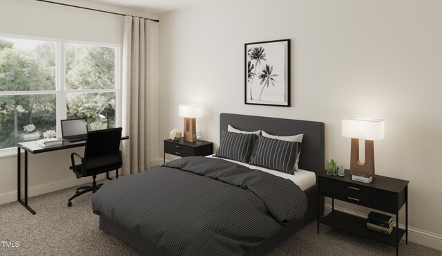 167 S Harvest Ridge Way Unit 223, Wilsons Mills, NC 27520 - bedroom with carpet flooring, a desk, and baseboards