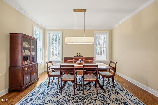 56 Mist Wood Ct, Pittsboro, NC 27312 - dining room featuring plenty of natural light, baseboards, and ornamental molding