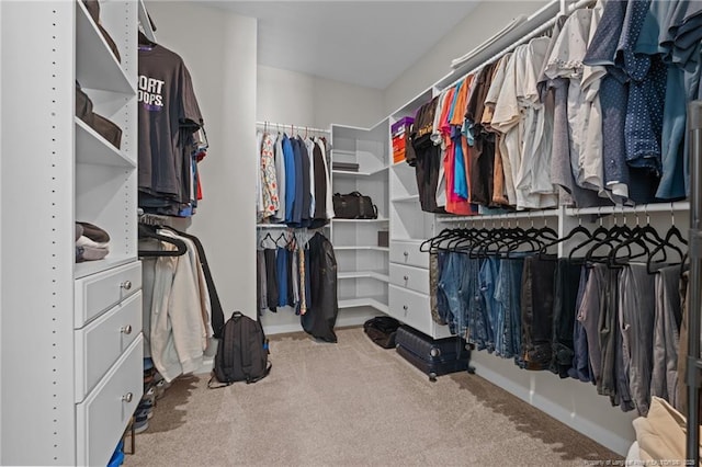 walk in closet featuring light carpet