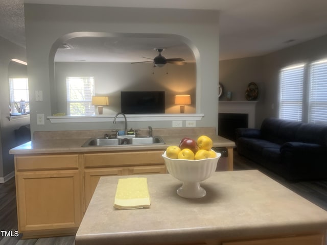 kitchen featuring ceiling fan, a fireplace, a sink, open floor plan, and light countertops