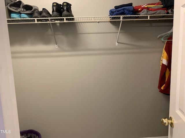 view of walk in closet