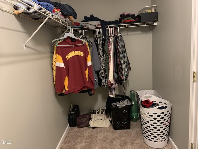 walk in closet featuring carpet flooring