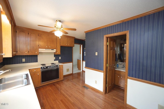 kitchen featuring crown molding, a sink, under cabinet range hood, and wallpapered walls