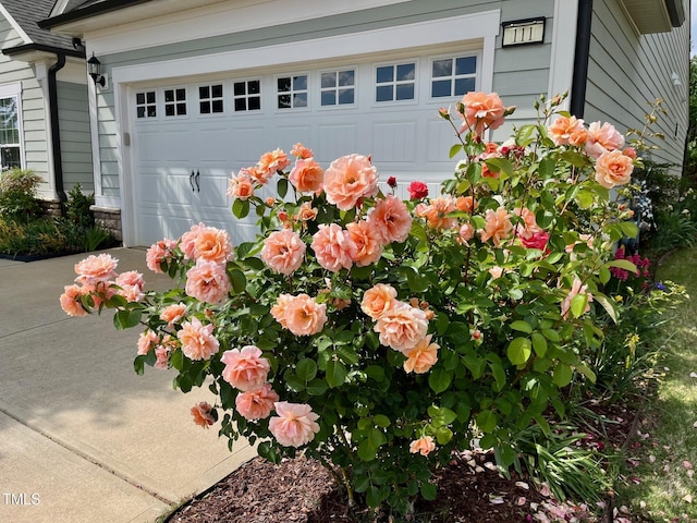 details with concrete driveway