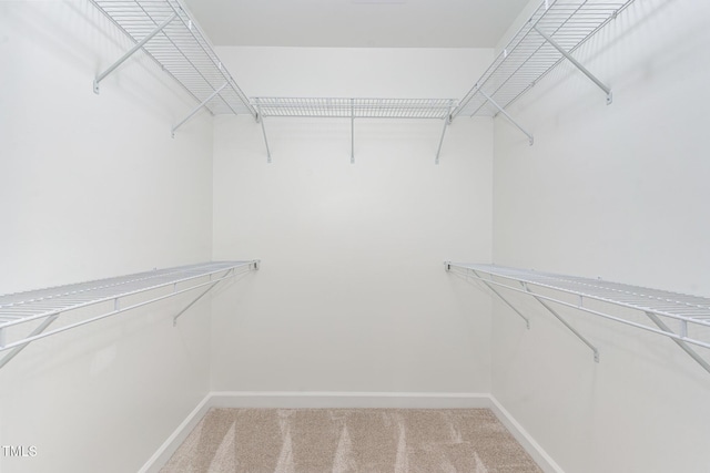 spacious closet with light colored carpet