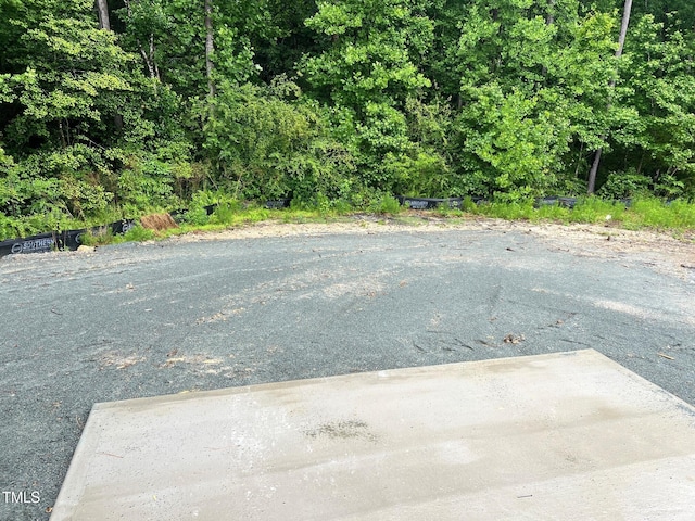 507 Olivia Crossing Ct Unit 20, Four Oaks, NC 27524 - view of road
