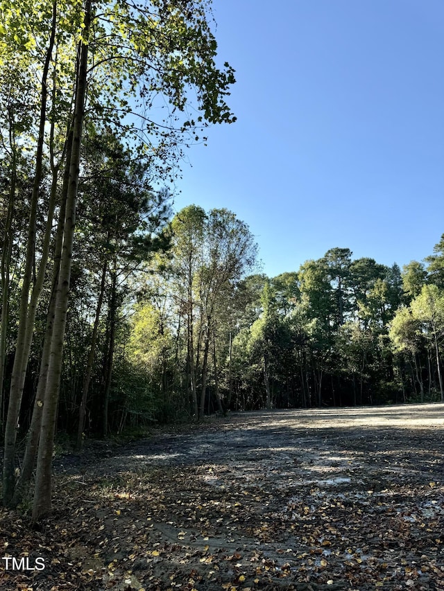 Listing photo 3 for LOT1 US Highway 301 S, Four Oaks NC 27524