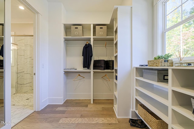 25 Blackhorn Ct, Pittsboro, NC 27312 - walk in closet featuring light wood-style flooring
