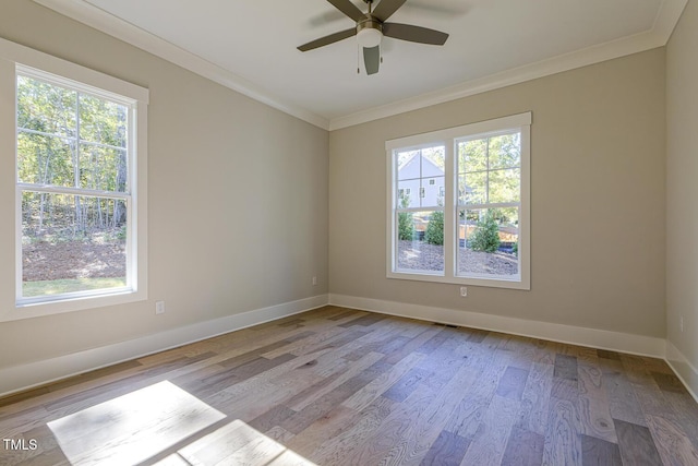 25 Blackhorn Ct, Pittsboro, NC 27312 - empty room featuring baseboards, light wood-style floors, a wealth of natural light, and crown molding