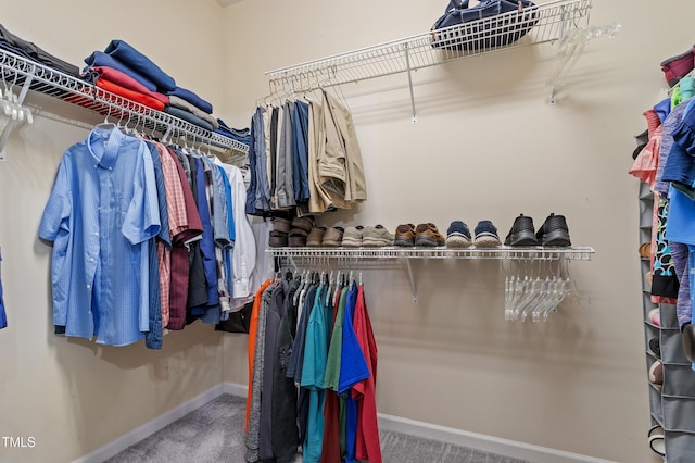 spacious closet with carpet